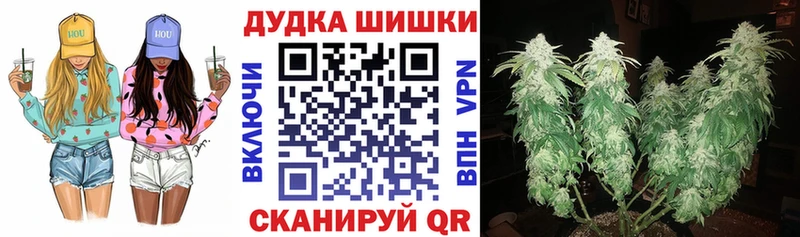 Конопля индика  Холм 